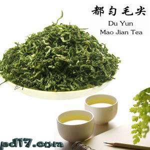 中国十大名茶之五：都匀毛尖(绿茶)