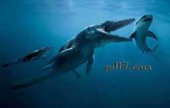 Top10：灭绝的远古海洋巨兽：沧龙、龙王鲸、巨齿