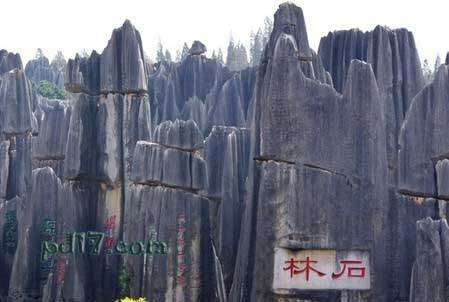 中国四大自然奇观：云南石林