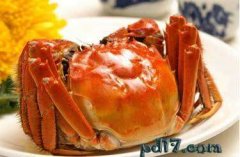 盘点：常出现在饭桌上的螃蟹：雪蟹、帝王蟹