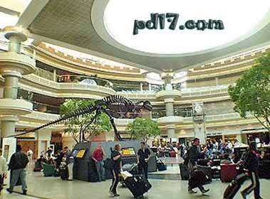 世界上最繁忙的十大机场Top1：亚特兰大哈兹菲尔德-杰克逊国际机场