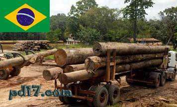 世界上最不环保的国家Top1：巴西