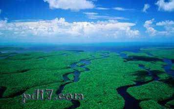 即将消失的景点Top3：大沼泽国家公园