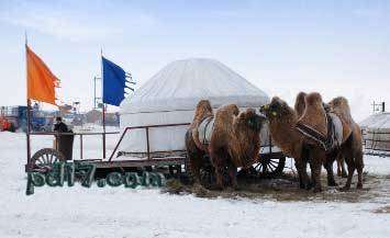 世界上最冷的国家Top8：蒙古