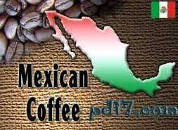 咖啡最好的国家Top9：墨西哥