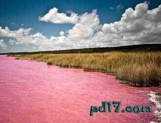 鲜为人知的世界美景Top2：粉红湖