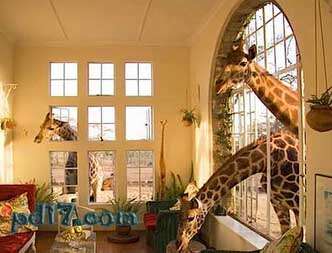 世界十大主题酒店Top10：长颈鹿庄园