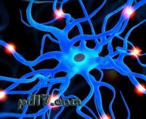 尿液意想不到的功能Top4：转化为神经前体细胞