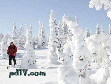 十大难以置信的自然现象Top7：芬兰的冷冻树