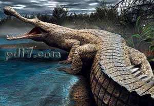 巨型古生物灭绝动物Top3：帝鳄