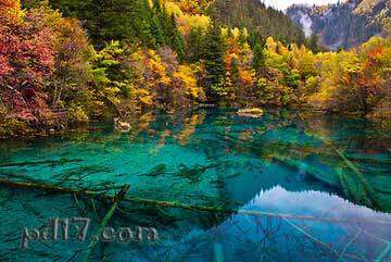 世界上最美的自然湖泊Top10：五花海