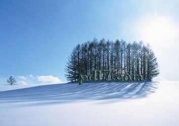 世界上最美的十大雪景Top8：北海道