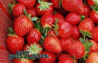 农药残留最多蔬菜水果Top2：草莓