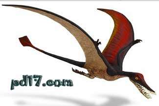 十种可怕的翼龙Top9：喙嘴翼龙属 Muensteri
