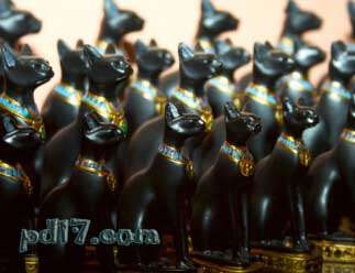 世界上十大动物坟墓Top4：猫的节日