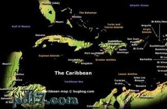 加勒比海的十件趣事Top9：岛上栖息