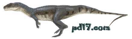 关于古生物的一些新发现Top1：双足鳄鱼