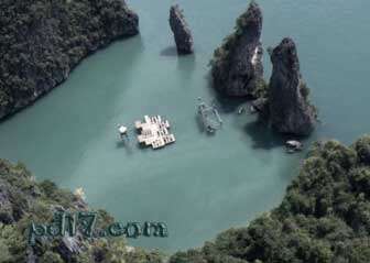 世界著名的水上景点Top5：泰国群岛漂浮影院