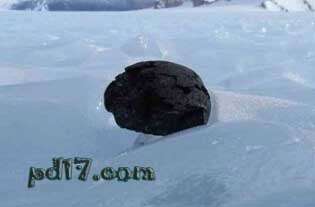 南极旅游的趣事Top9：陨石收集
