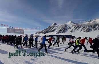 南极旅游的趣事Top8：马拉松
