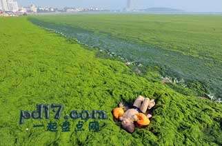 中国正在遭受的污染情况Top8：藻类污染