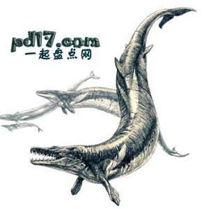 十大史前海洋巨兽Top8：龙王鲸
