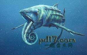 十大史前海洋巨兽Top3：旋齿鲨
