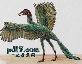 怪异的史前动物Top9：始祖鸟