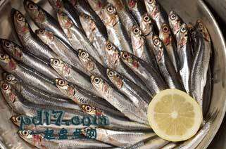 不常吃的十种健康食物Top4：沙丁鱼