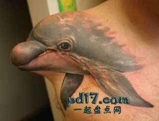精美的纹身图案Top6：海豚