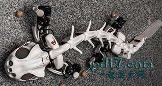 救援机器人Top8：Pleurobot