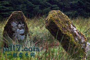 英伦三岛的古代巨石Top10：九石架