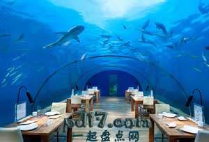 世界上最特别的主题餐厅Top3：海底餐厅
