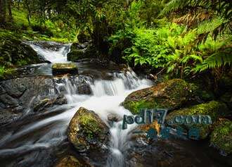 世界上奇特的自然景观Top10：澳大利亚古冈瓦纳古陆