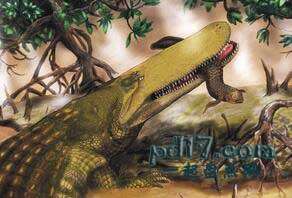 少见的远古恐怖生物Top8：Aegisuchus