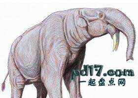 新生代灭绝的动物Top7：恐象