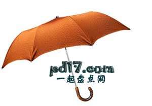 世界上最贵的雨伞Top7：爱马仕“Pluie de H”折叠伞