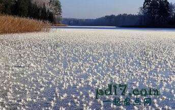 立陶宛特殊旅游景点Top1：冻湖