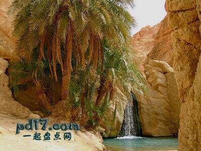 世界上最美丽神奇的沙漠绿洲Top7：恩戈地