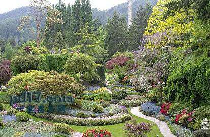 世界上最美丽惊人的植物园Top9：Kirstenbosch国家植物园