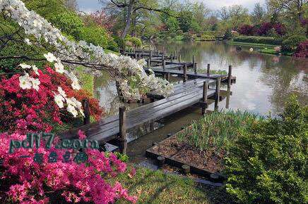 世界上最美丽惊人的植物园Top8：密苏里植物园
