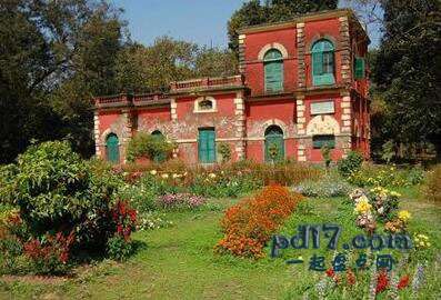 世界上最美丽惊人的植物园Top7：Acharya Jagadish Chandra Bose印度植物园