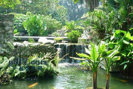 世界上最美丽惊人的植物园Top4：新加坡植物园