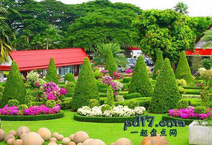 世界上最美丽惊人的植物园Top2：农诺科热带植物园