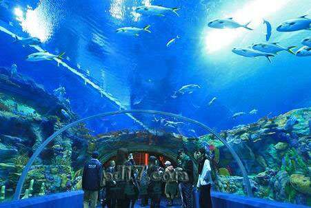 世界上最大、最好的水族馆Top10：西澳大利亚水族馆 珀斯