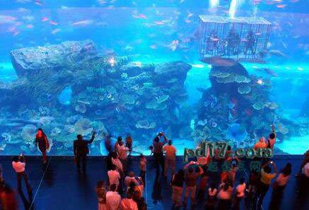 世界上最大、最好的水族馆Top7：迪拜购物中心水族馆 迪拜