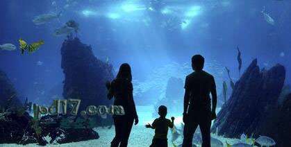 世界上最大、最好的水族馆Top6：蒙特利湾水族馆 加利福尼亚州