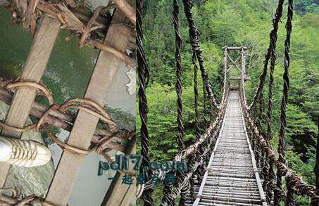 世界上最危险的桥Top8：日本藤木路AKA桥