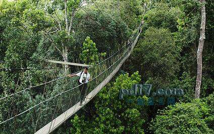世界上最危险的桥Top7：马来西亚塔曼国家公园大桥