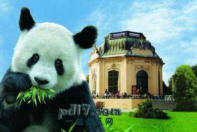世界上最好的动物园Top9：奥地利维也纳TiergartenSchonbrunn